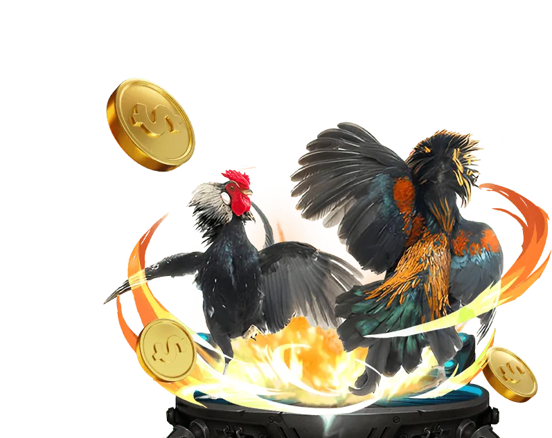 Hệ thống thanh toán nhanh chóng